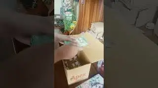 packing order fake 😁#beautiful #viral #cute #craft #packing fake order video#shorts