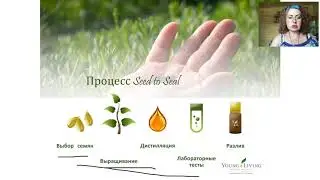 ВСЕ СЕКРЕТЫ ЭФИРНЫХ МАСЕЛ С Майей Брю 2 занятие