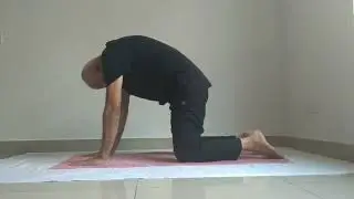 Pranayama 2: Dog, Cat & Rabbit Breathing - Helps improve Lung Capacity