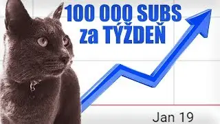 AKO SOM ZÍSKALA 100 000 ODBEROV ZA TÝŽDEŇ?