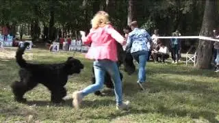 Суки-юниоры Чемпионат НКП 2018