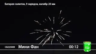 СБ225009 Мини Фан