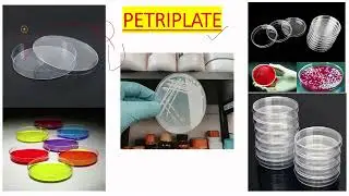 PETRIPLATE USE IN MICROBIOLOGY LAB IN ENGLISH