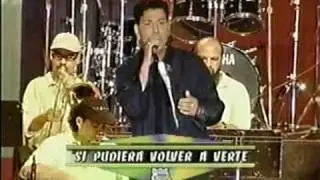 si pudiera volver a verte-domingo quiñones