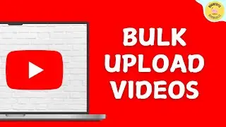 How To Bulk Upload Videos on YouTube