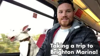 Taking a trip to the largest Marina in the UK: Brighton Marina