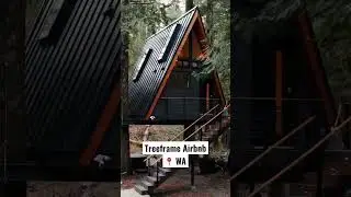 Treeframe Cabin Airbnb 