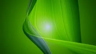 Green Gradient Background Wallpaper 1 Hour