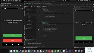 Quizz App Flutter - From Scratch