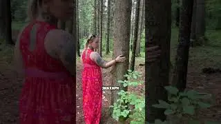 Кто такие метеозависимые?