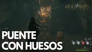 Hogwarts Legacy | Misión 