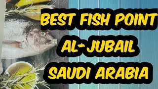 Best fish POINT in Jubail Saudi arabia| Life in KSA | URDU | HINDI (VLOG#01)