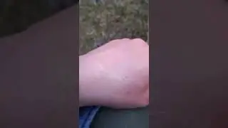 Своих кусай Чтоб чужие боялись
