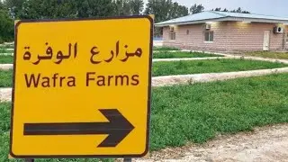ربع الديوانية في مزارع الوفرة .. يوم جميل