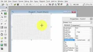 VB Tutor how to remove border and control box of form