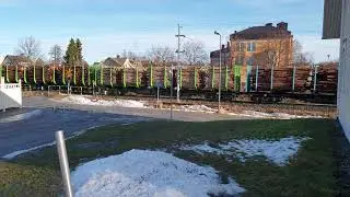 VR raakapuun kuljetus Pietarsaaressa 10.2.2020