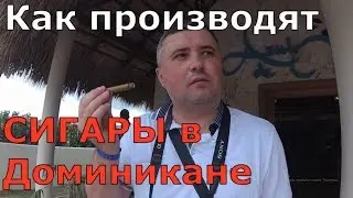 Как делают сигары в Доминикане