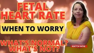 Understanding Fetal Heart Rate: What Every Parent Should Know & When to Worry | Expert Advice