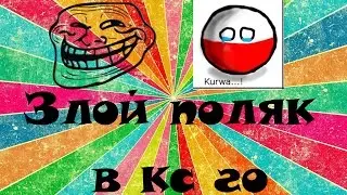троллинг в кс го -общаюсь с психованным поляком