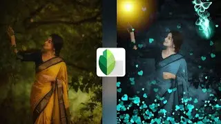 Snapseed Green And Bird Effect Photo Editing Tutorial | photo editing malayalam