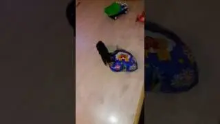 Чихуа
