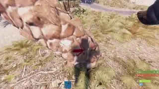 Rust 4 timmy boy