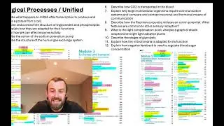 OCR A Level Biology A 2024 Predictions