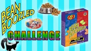 The Jelly Belly Bean Boozled Challenge - Let's Cook