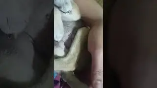 SARAP TULOG BIBOY INGAY LANG MAMI 😂    🐶🦮