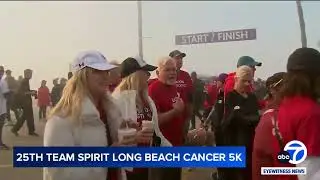 Hundreds Join Annual Team Spirit Benefitting Psychosocial Cancer Programs - ABC 7