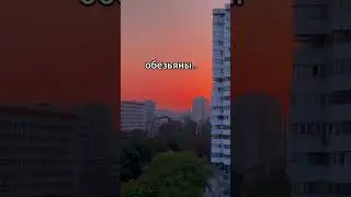 Последний пункт тебя удивил?