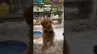 Come with me 😍