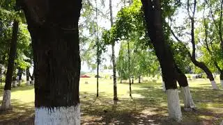 VID 20220713 123935