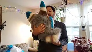 Made Fur You Fursuit Fenris unboxing part 1.