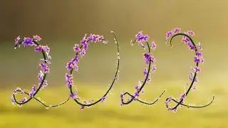 Blender Tutorial Practice:Flower