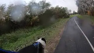 Hodge's freedom parkrun tour stop #10-2 (Ginninderra)