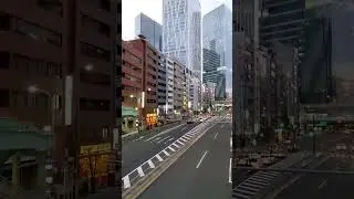 Шибуя Зимой (Токио, Япония) / Shibuya in Winter (Tokyo, Japan) 