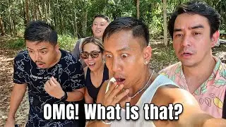 Our Wild Adventures in Borneo | Vlog 