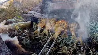 Капчагай майская рыбалка 2018