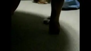 ランサーエボリューションⅩ：CAUL ER　vs　愛犬
