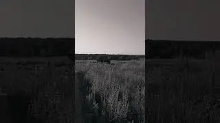 Утро #природа