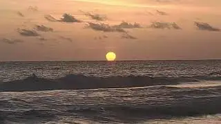 ചാവക്കാട് മറൈൻ അക്വാറിയവും ബീച്ചും..CHAVAKAD MARINE AQUARIUM AND BEACH