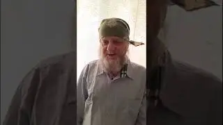 Брат наш меньший
