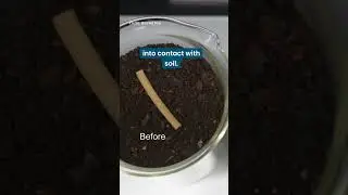 How can we solve plastic pollution?