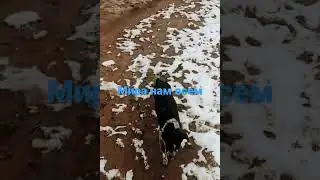 Рубежное Украина 04.03.22.Храни нас бог.