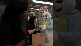 Spring surprises at the European Parts and Distribution Center in Bruchsal, Germany! 🌸🐰