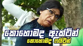 හරි ගෑනියෙක්ගෙන් නම් මේ වගේ ගුටි කෑවට කමක් නෑ 😆😆