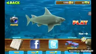 Hungry Shark evolution bad ending......