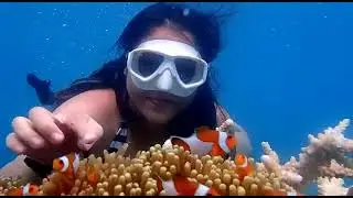 Paket Wisata Karimunjawa - Liburan lebih seru