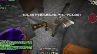 8b8t.me dupe